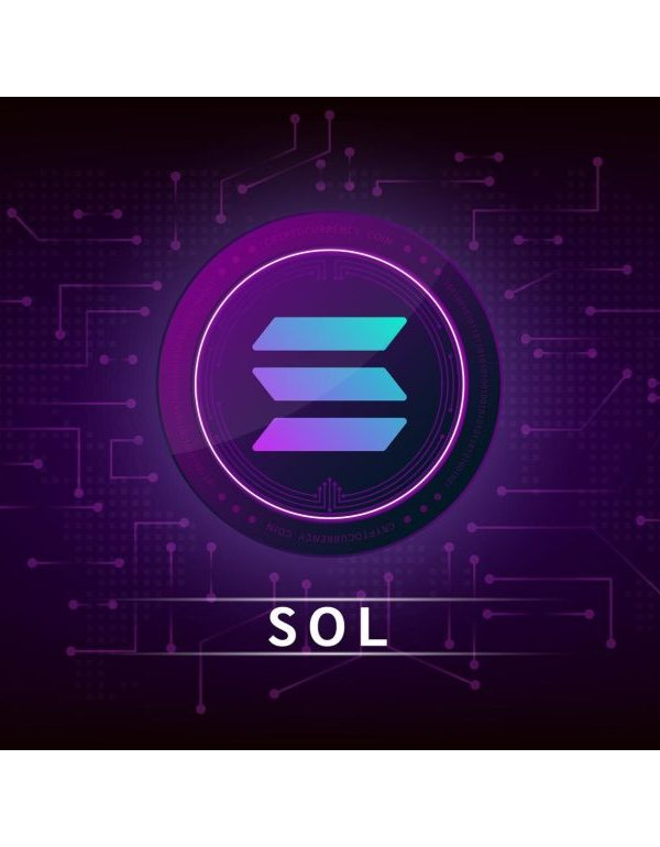 Crypto Payment ( Solana )